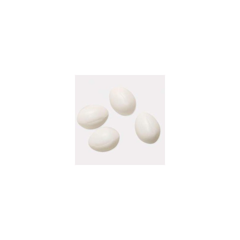 Huevo plástico 2089