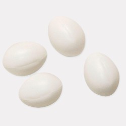 Huevo plástico 2089